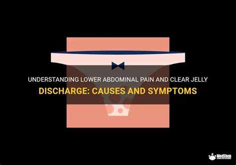 Understanding Lower Abdominal Pain And Clear Jelly Discharge: Causes ...
