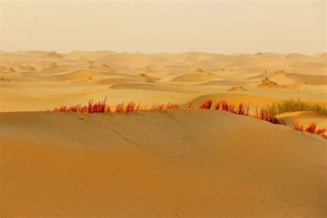 为什么人很容易迷失在沙漠中，而且还不能走直线，不然就出不来了