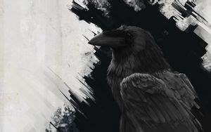 Wallpaper raven, bird, sun, vector, art hd, picture, image