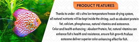 Inch Gold Dry Shrimp for Arowana, 100G | for Large and Middle Size of ...