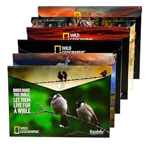 Shuban 6 Pcs Documents File Storage Holder with Snap Button Closer A4 ...