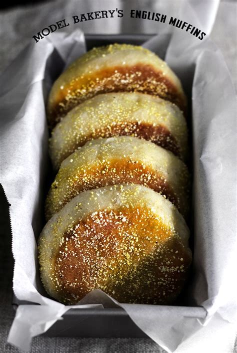 model bakery english muffin recipe