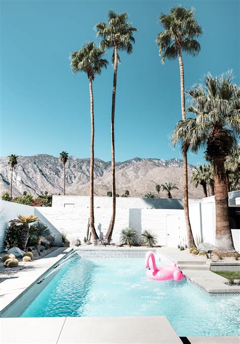 Modernism week palm springs – Artofit