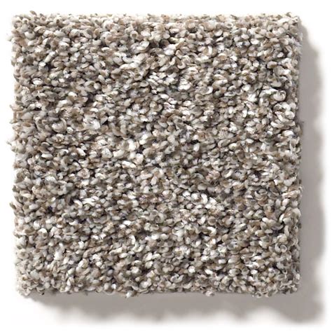 Shaw Floors After IT I Tree House