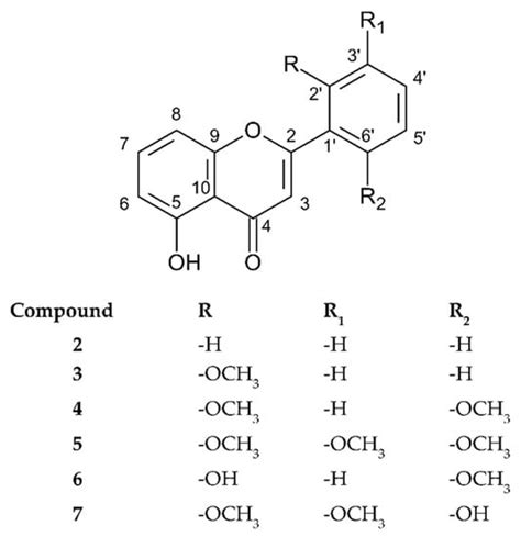 New Polymethoxyflavones from Hottonia palustris Evoke DNA Biosynthesis ...