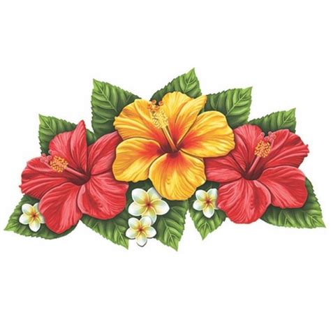 flower drawing hawaii