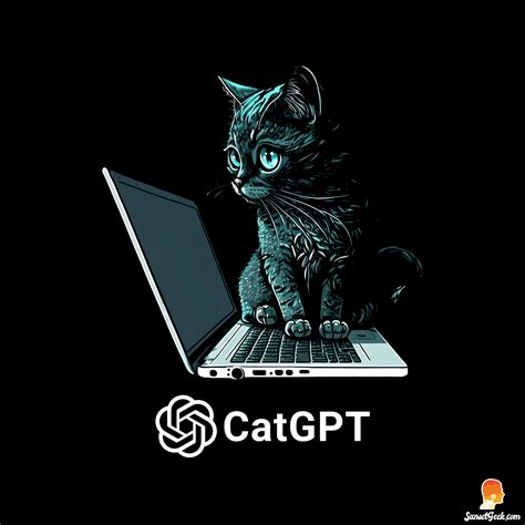 Image result for Backend Developer Doing CSS