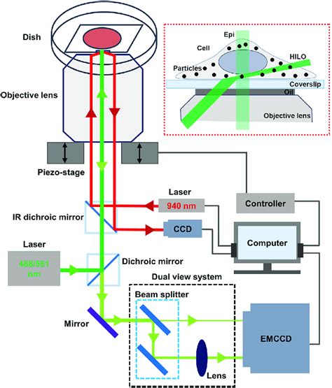Single Particle Tracking 的图像结果