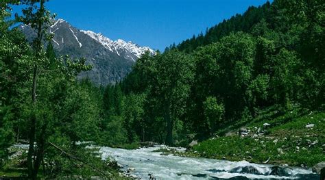 ABSHAR HOTEL (Gashkor) - Hotel Reviews, Photos, Rate Comparison ...