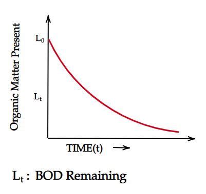 Bod Calculation Formula 的图像结果