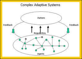 Image result for Complex Adaptive System Examples