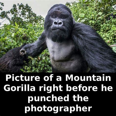 Crazy Fun Stuff 的图像结果