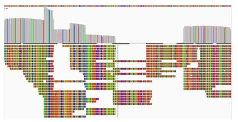 Image result for DNA Barcoding Methods