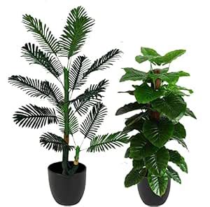 Buy Hyperboles 2 Pc Artificial Tall Plants Areca Palm with Money Plant ...