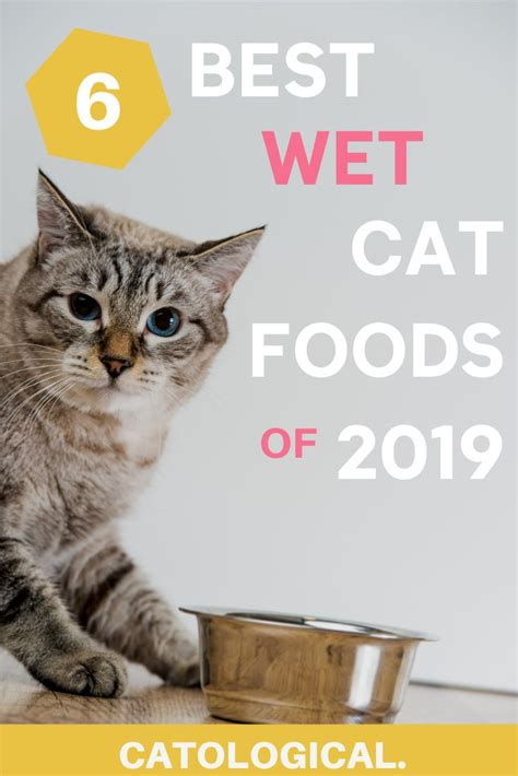 the best wet cat food