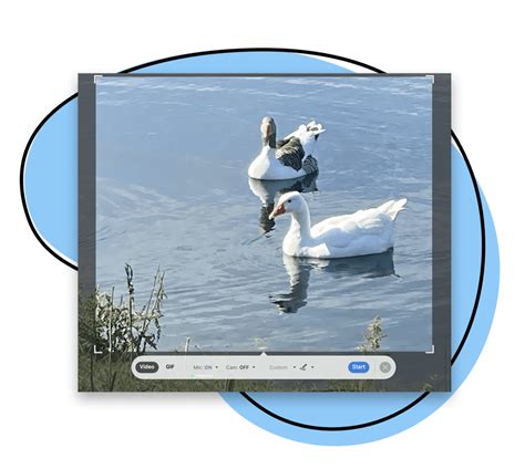 Image result for Screen Recorder