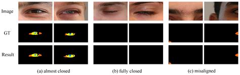 OcularSeg: Accurate and Efficient Multi-Modal Ocular Segmentation in ...