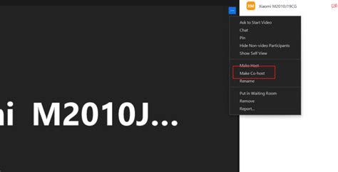 Zoom Host Tutorial 的图像结果