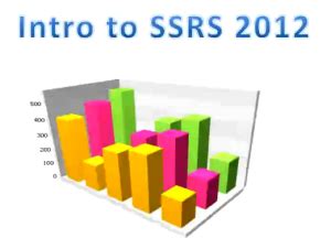 SSRS 2012 Tutorial 的图像结果