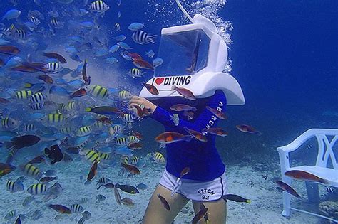 2025 Cebu Seawalker Adventure (Cebu City) - Tripadvisor