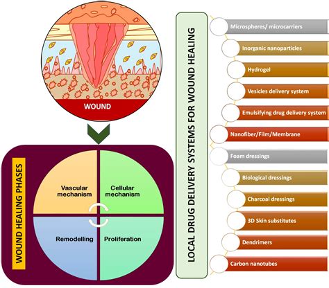 Local Drug Delivery Strategies towards Wound Healing