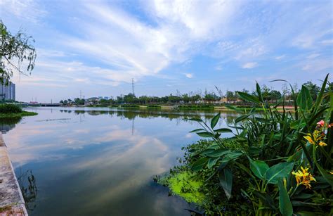 连云港：水生态修复让河流“颜值”升级_中国江苏网