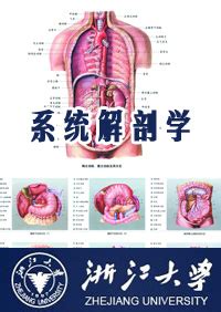 系统解剖学 (七年制) | PDF
