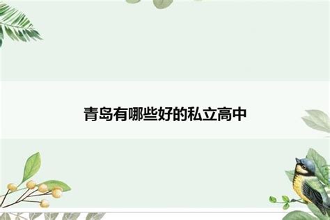 青岛高中私立学校有哪些_山东职校招生网