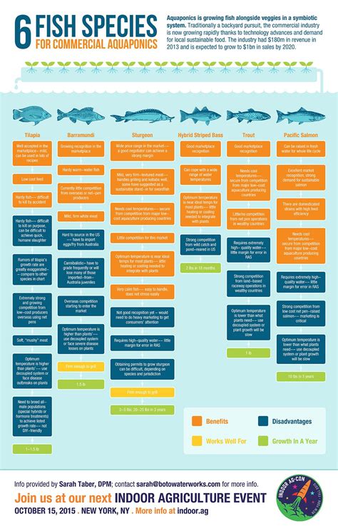 Infographic: Six Fish Species for Commercial Aquaponics | .:AquaPonics ...