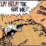 Image result for Help Xat Meme