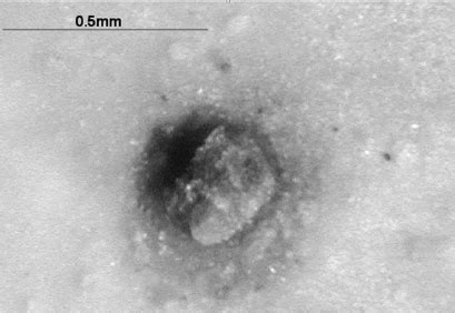 Image result for Pinhole Defect Paint