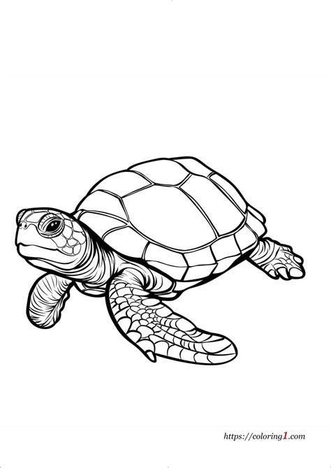 Image result for Turtle with Gun Coloring Pages Printable