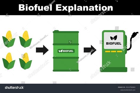 Biofuel Process 的图像结果