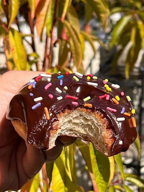 CLOSED: Donut Flyer - San Diego California Bakery - HappyCow