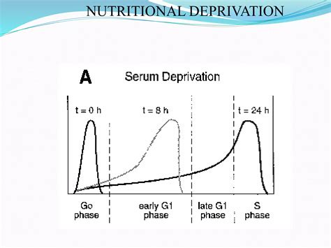 Image result for Cell Cycle Synchronization