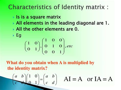Image result for Identity Matrices