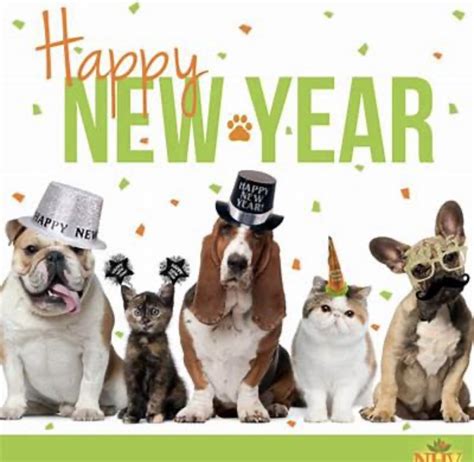 Timonium Animal Hospital