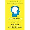 Buy INCOGNITO Book Online at Low Prices in India | INCOGNITO Reviews ...