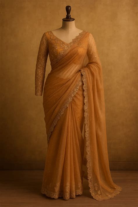 Amber Glow Embellished Net Saree – Ammra The Couture House