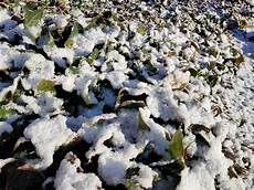 spokesman review paper hold 2018 weathercatch fever hold on planting much of spokesman review paper hold 2018 weathercatch fever hold on planting much of