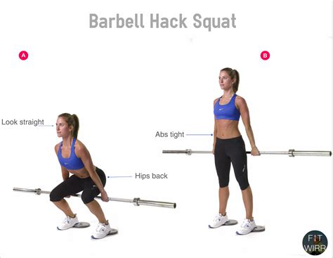 √ Smith Machine Barbell Hack Squat