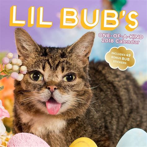 Buy Lil Bub 2018 Wall Calendar (Calendars 2018) Book Online at Low ...