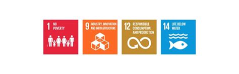 Core ISO Standards – the Cornerstones of Successful Businesses | SGS India