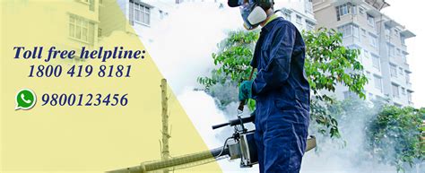 Termite Control Services in Kolkata | Orion Pest Solutions