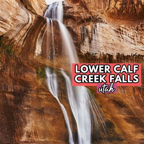 Hiking to Lower Calf Creek Falls in Utah (The Complete Guide) - Amanda ...