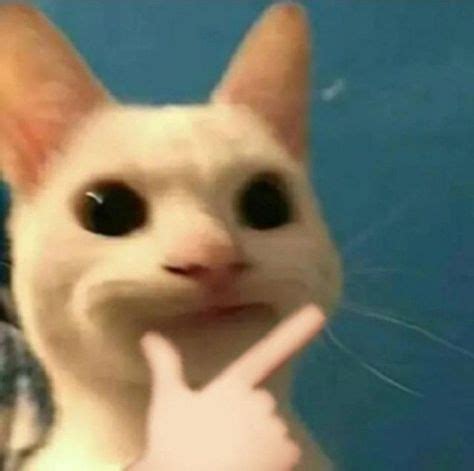 Image result for Rust Meme PFP Cat