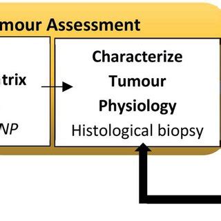 Image result for Decision Matrix Flow Chart