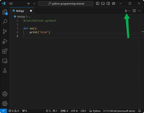 Vscode Python Windows 的图像结果
