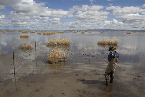 The Harney Basin is a rest stop with food and shelter along the Pacific ...
