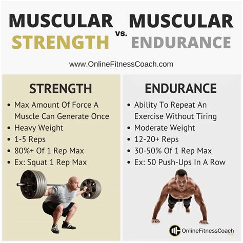 The Difference Between Muscular Strength And Muscular Endurance ...
